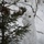 Lithuanian Dragoons demonstrates unconventional warfare on U.S.