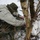 Lithuanian Dragoons demonstrates unconventional warfare on U.S.