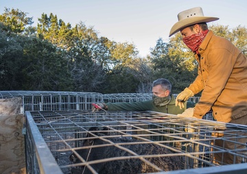 Capturing Feral Hogs on JBSA