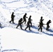 Fort McCoy Cold-Weather Operations Course Class 21-04 students conduct field training in snowshoes