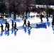 Fort McCoy Cold-Weather Operations Course Class 21-04 students conduct field training in snowshoes