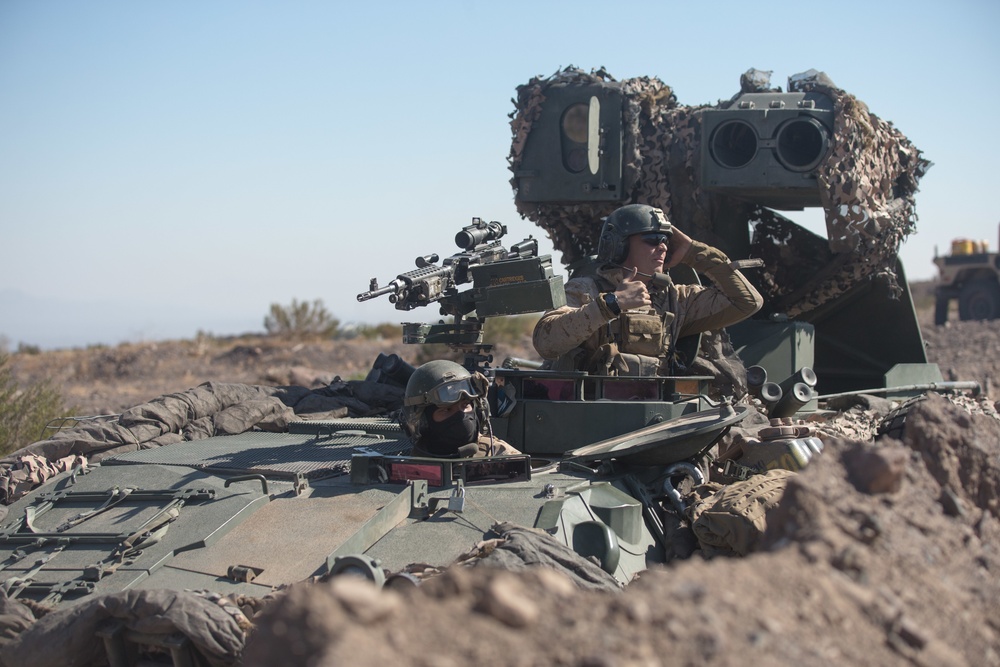 The Only Place That Joshua Trees Grow