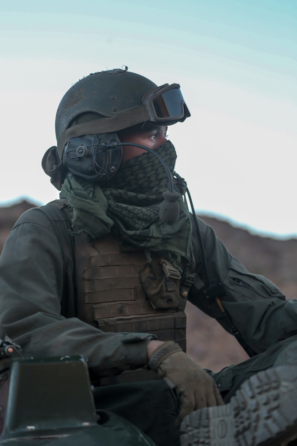 The Only Place That Joshua Trees Grow