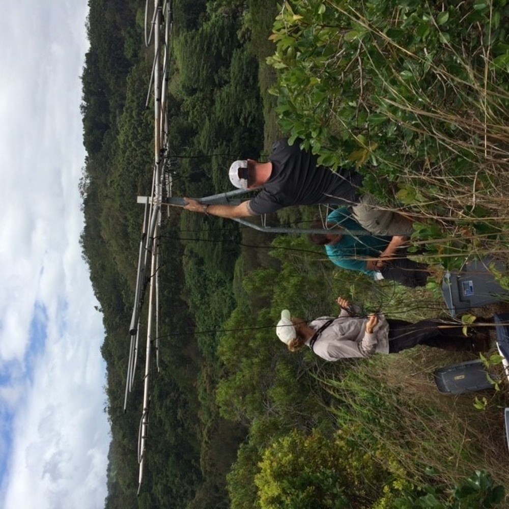 DVIDS - News - Threatened, Endangered Species team creates win-win ...