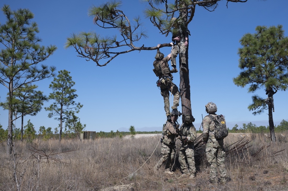 Emerald Warrior 21.1