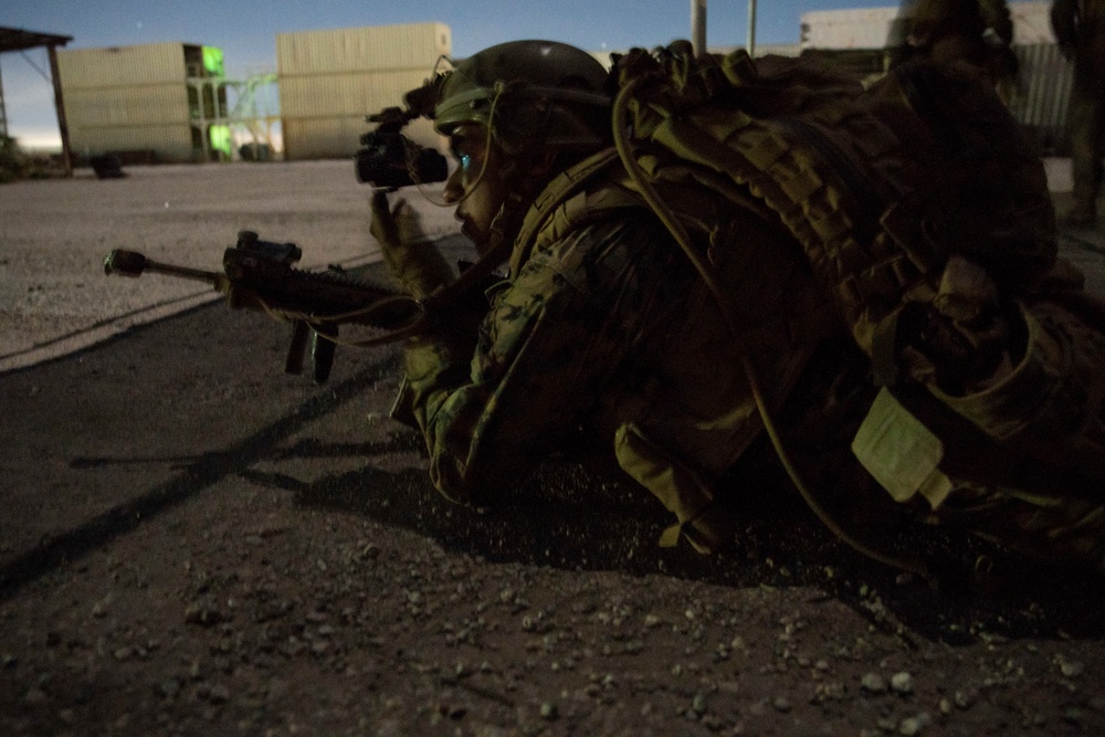 BLT 1/1 Conducts Night Raid during RUT