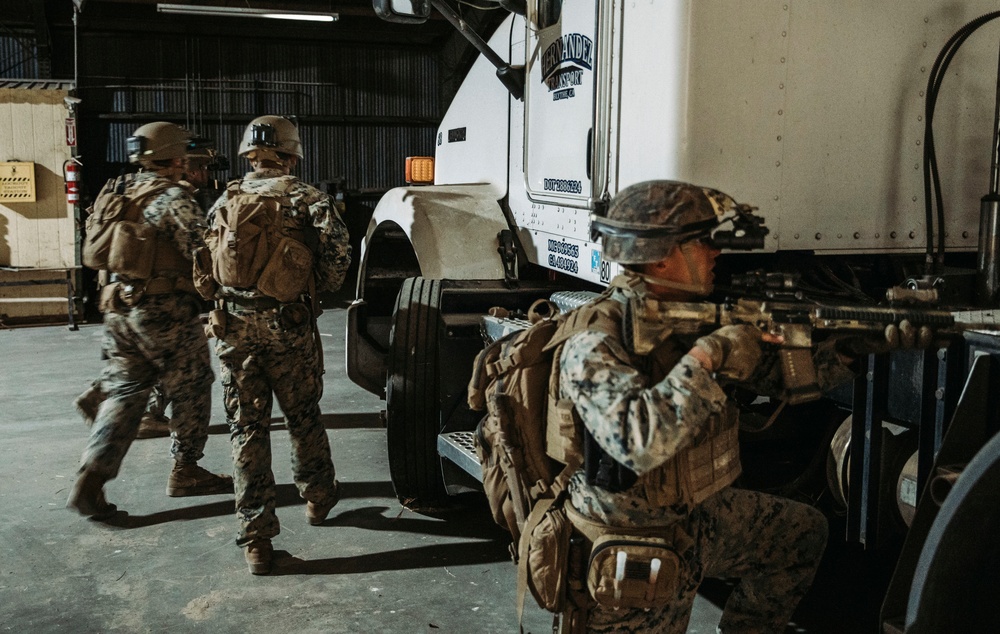 BLT 1/1 Conducts Night Raid during RUT