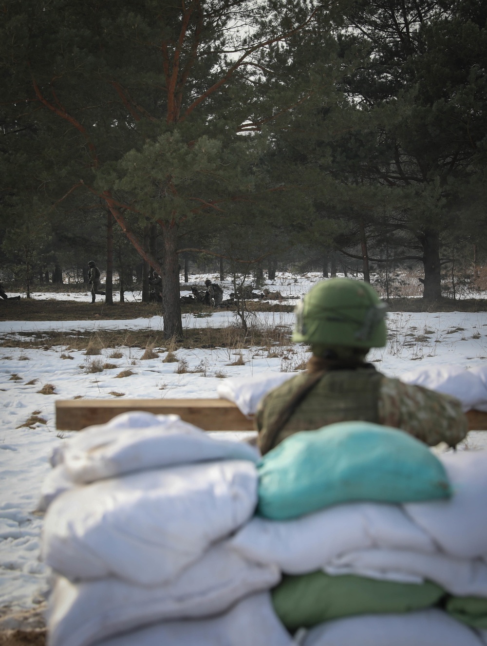 Culminating exercise tests Lithuanian, U.S. strengths while building bonds
