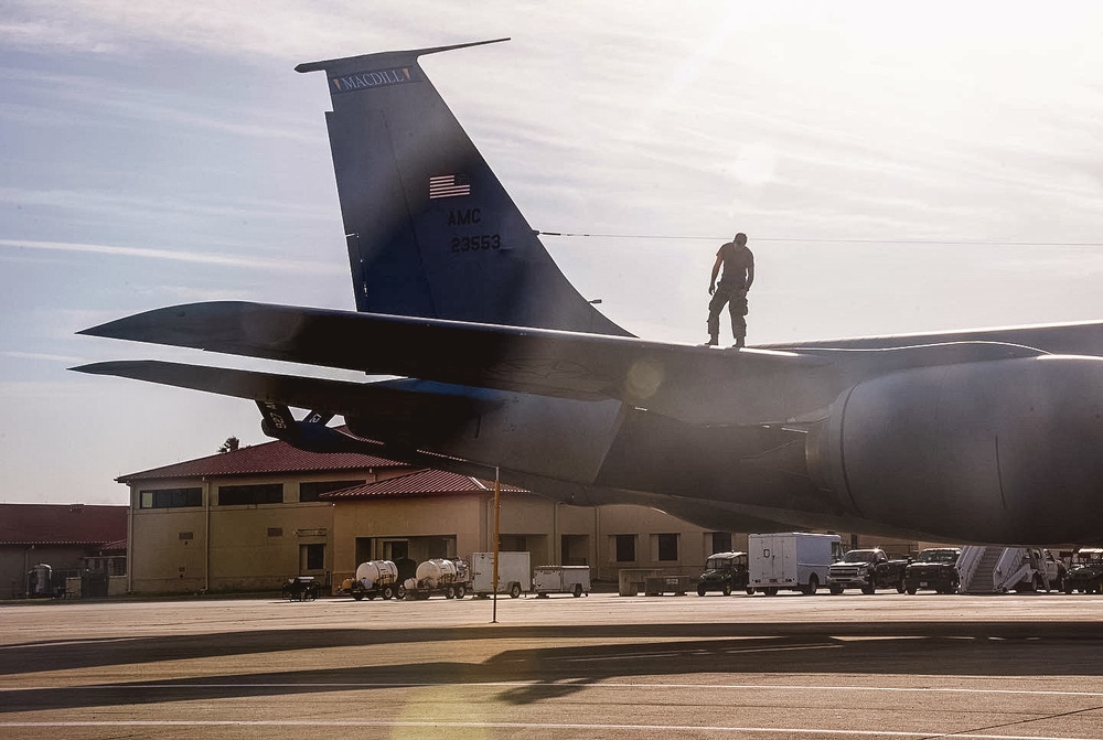 Walking on the wing
