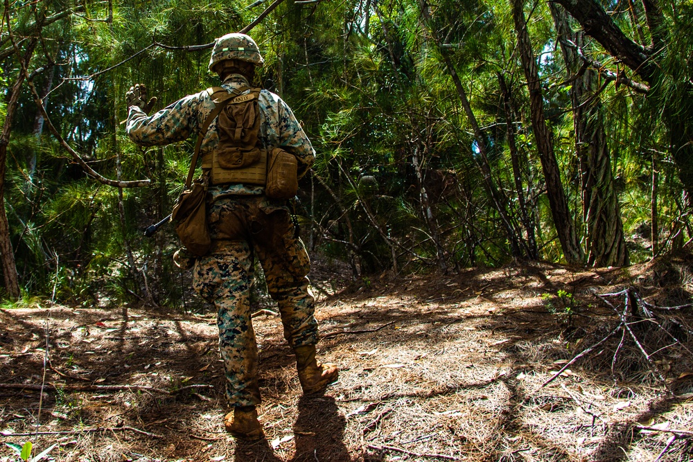 Alpha Company patrols the jungle