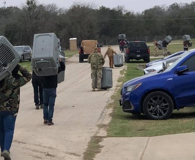 Teams protect hundreds of military working dogs from weather in Texas