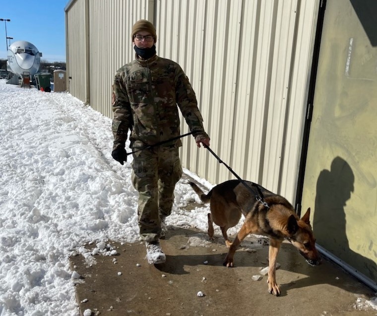 Teams protect hundreds of military working dogs from weather in Texas