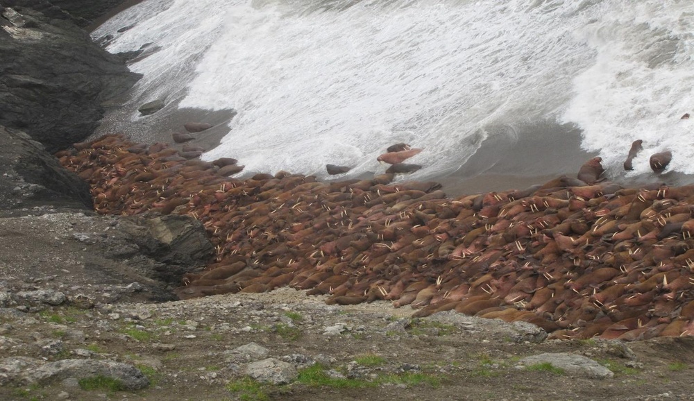 Cape Lisburne Seawall Repair