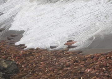 Cape Lisburne Seawall Repair