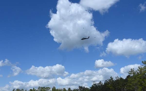 The image depicts a military medical evacuation (MEDEVAC) training exercise in an open field bordered by pine trees. Multiple personnel in tactical gear are attending to simulated casualties on the ground while helicopters operate in the background and overhead. The scene is consistent with a mass casualty triage and extraction drill.