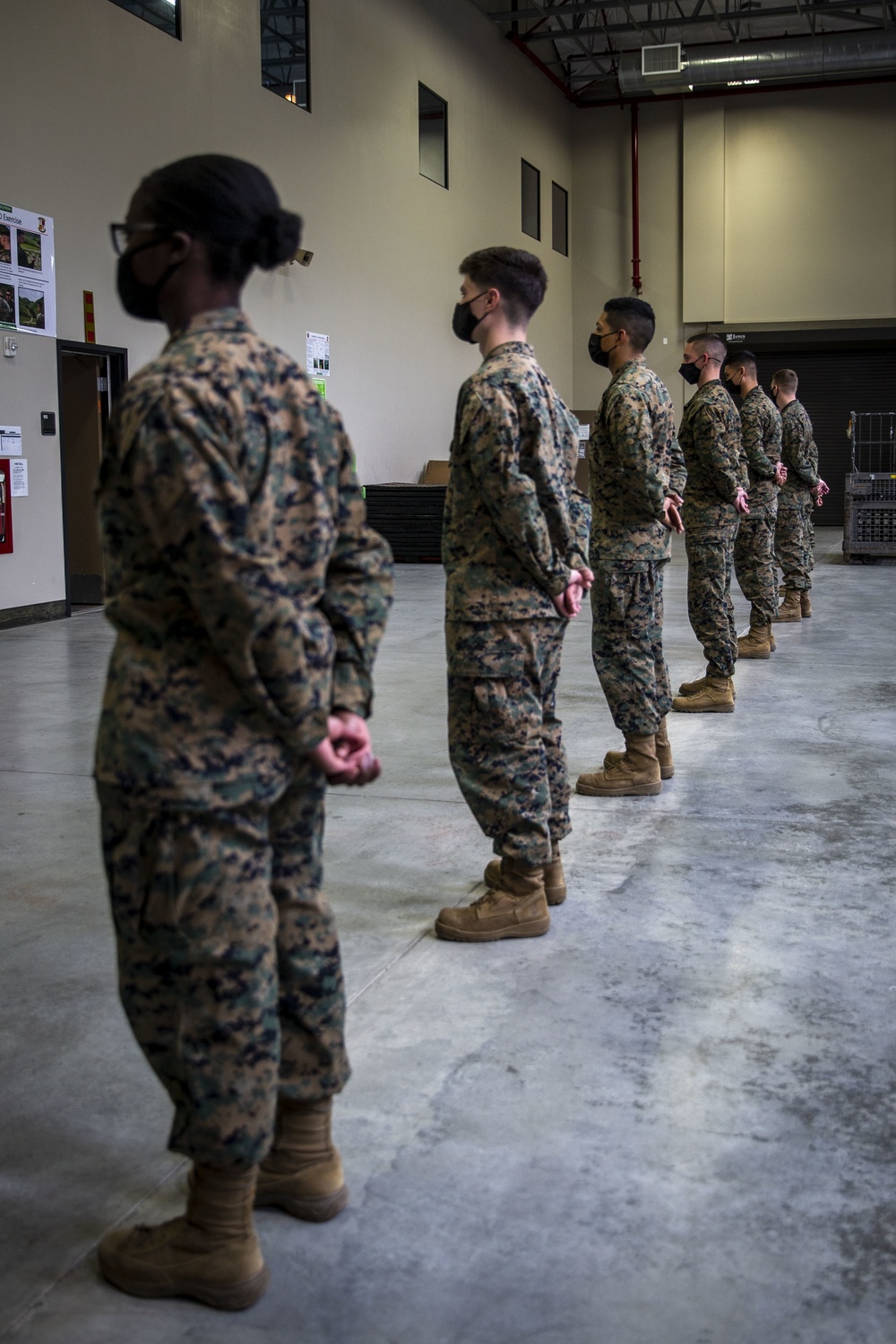 Marines awarded challenge coins for postal operation assistance
