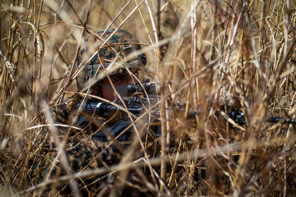 Echo Battery practice provisional infantry tactics