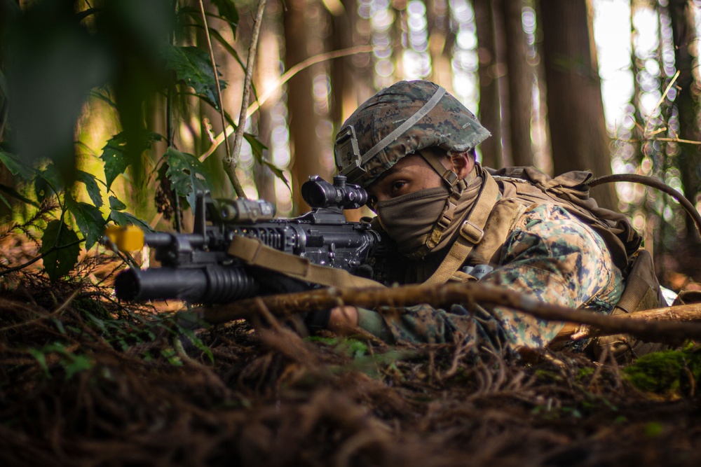 Echo Battery practice provisional infantry tactics