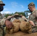 Sustainment Brigade Sergeant's Time Training