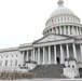 New Jersey National Guard soldiers promoted on Capitol steps