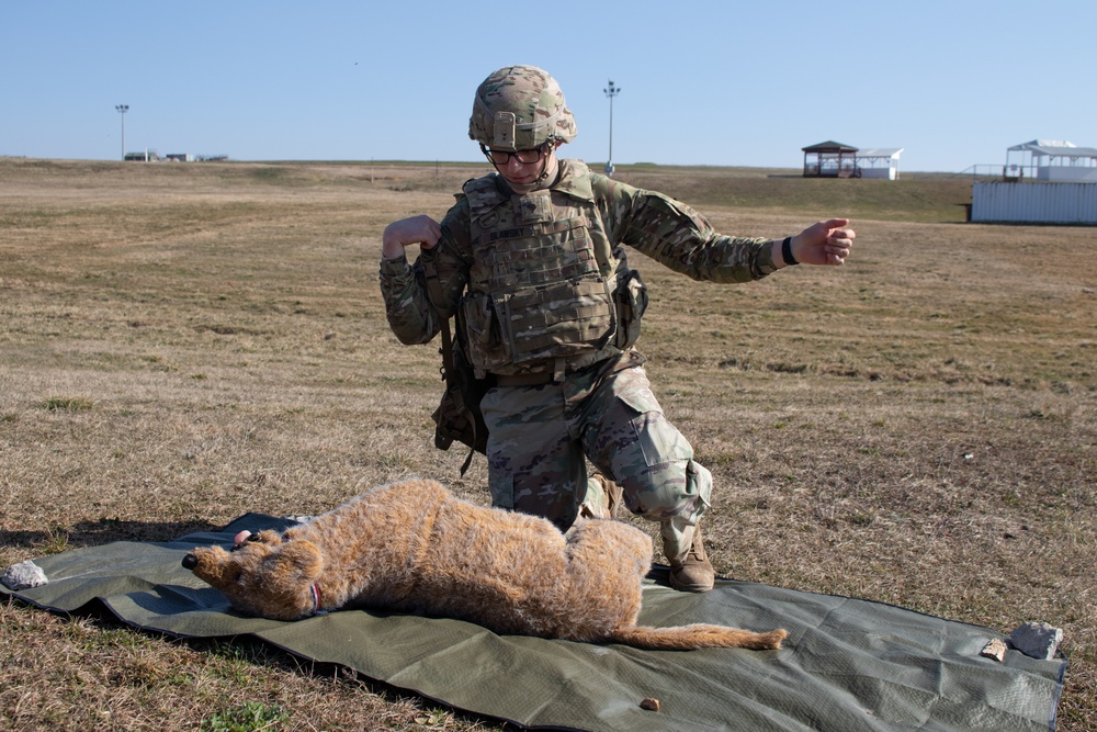 KFOR conducts K9 medical training