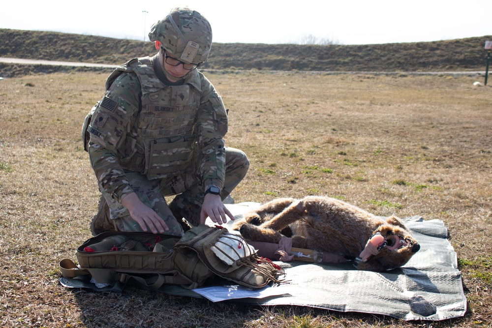 KFOR conducts K9 medical training