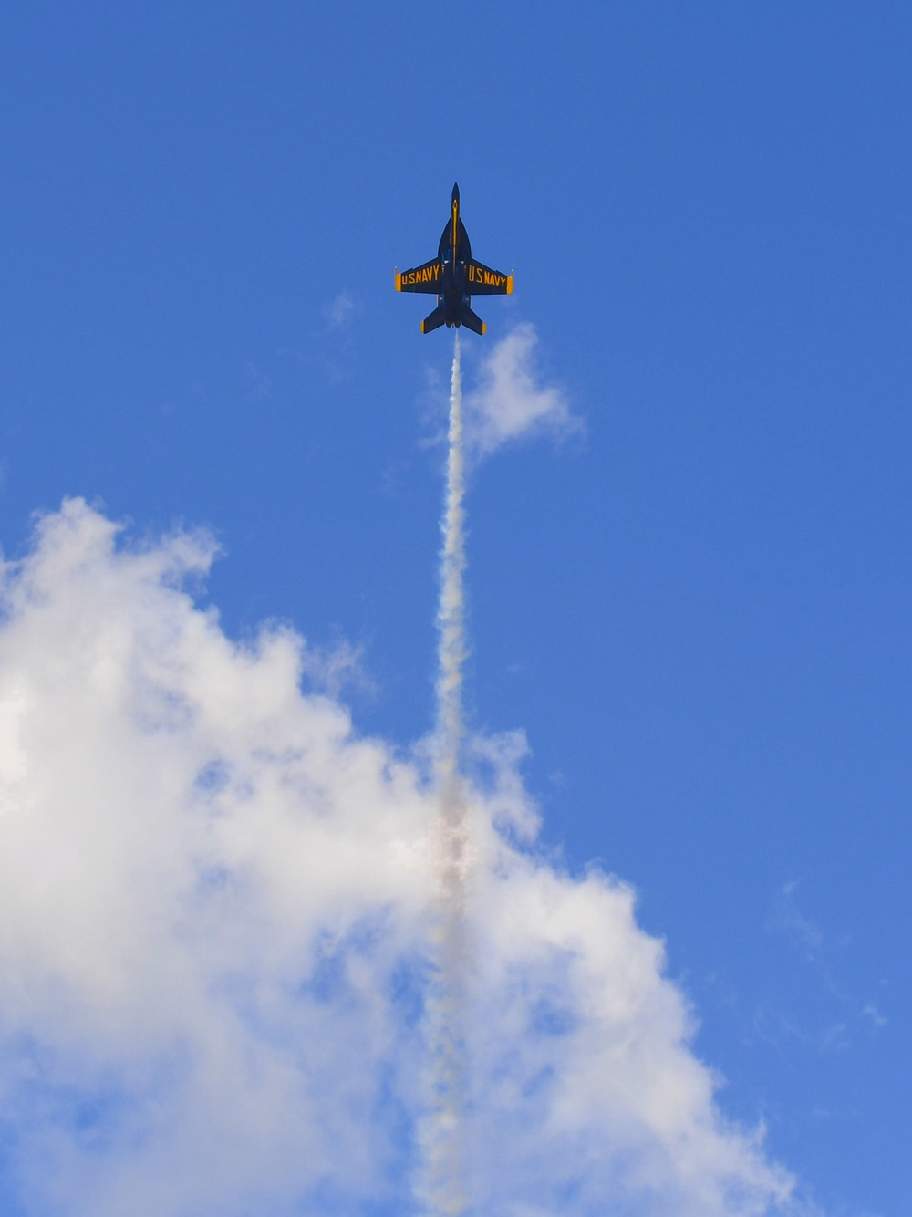 The Blue Angeles F-18 at the Festival of Flight