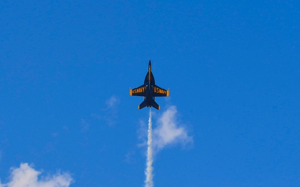 The Blue Angeles F-18 at the Festival of Flight
