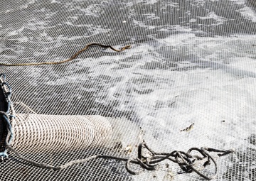 NUWC Keyport, Suquamish Tribe release salmon at Keyport pier
