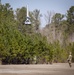 Martin UAV V-BAT makes a vertical landing at the FTUAS Rodeo