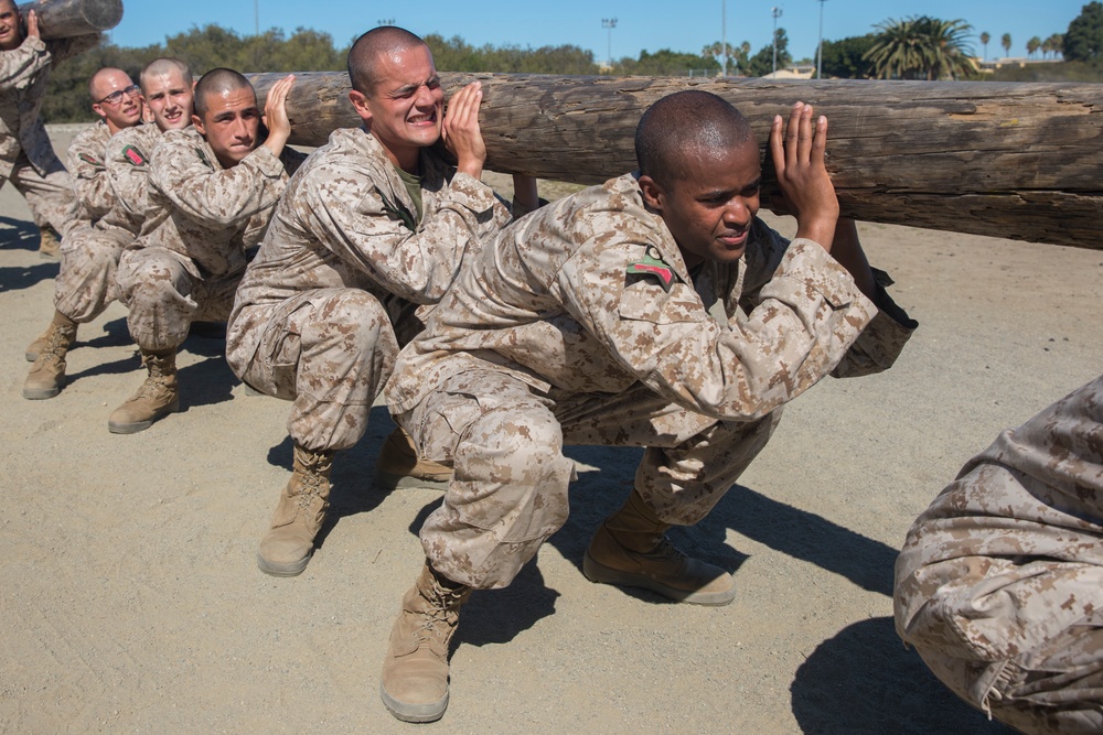 Charlie Company Log Drills