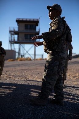 Train Hard Fight Easy