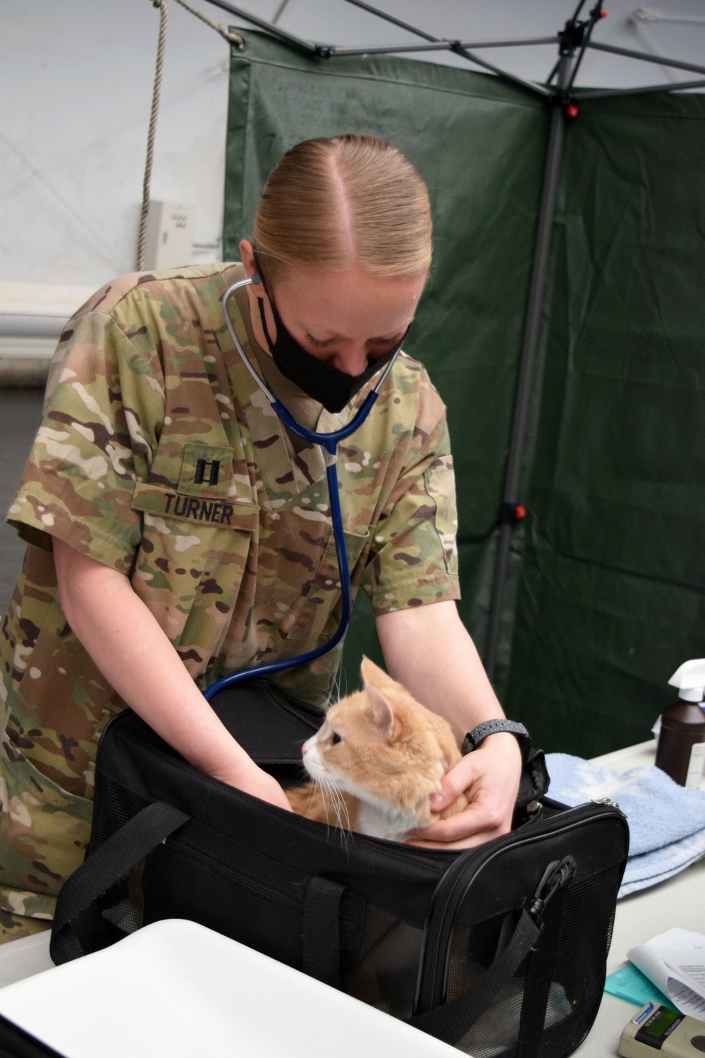 CFAY’s veterinarians care for Ikego pets