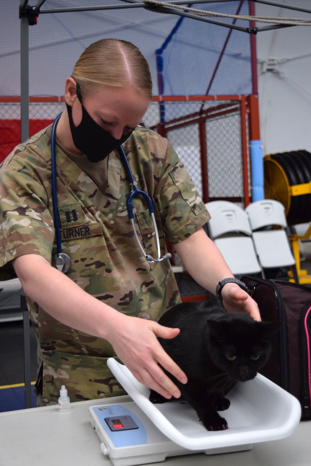 CFAY’s veterinarians care for Ikego pets