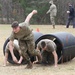 JROTC Cadets compete at Raider Challenge 2021