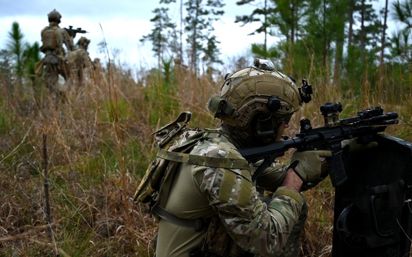 Emerald Warrior 21.1: Foreign Internal Defense with Exercise Partners