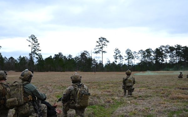 Emerald Warrior 21.1: Foreign Internal Defense with Exercise Partners