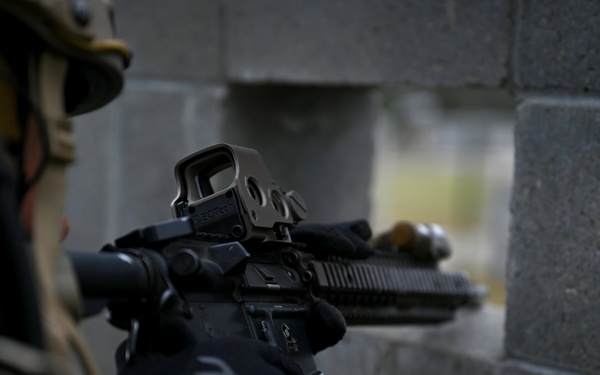 Emerald Warrior 21.1: Foreign Internal Defense with Exercise Partners