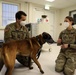 Veterinary Behaviorist provides unique service to the welfare of Military Working Dogs