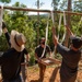 DPAA conducts Recovery Missions in Cambodia