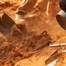 DPAA conducts Recovery Missions in Cambodia