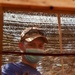 DPAA conducts Recovery Missions in Cambodia