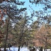 Cold-Weather Operations Course class 21-04 students conduct field training in snowshoes, pulling sleds