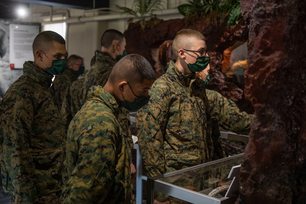 Hotel Company Museum Visit