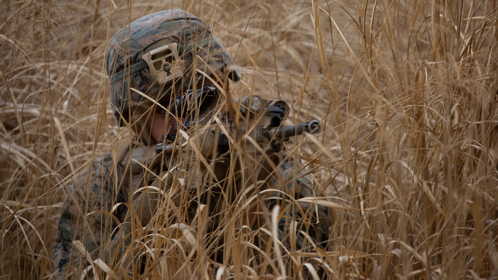 3d Battalion, 8th Marine Regiment Participates in Fuji Viper 21-2.2