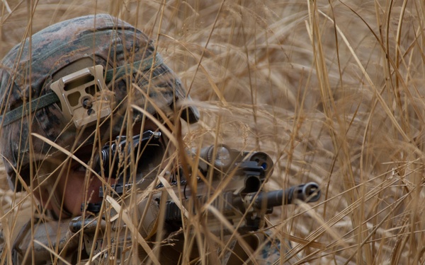3d Battalion, 8th Marine Regiment Participates in Fuji Viper 21-2.2
