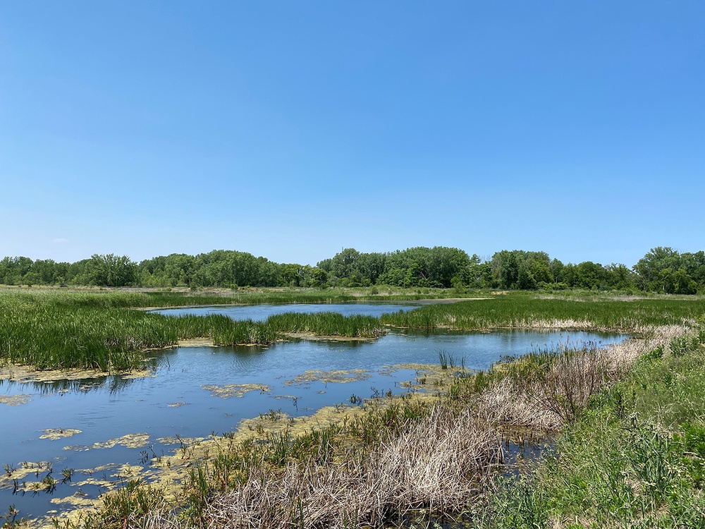 USACE Chicago District started, completed 20 restoration projects to date with Great Lakes Restoration Initiative