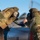 Nellis Weapons Load Crew of the Year Competition A military technician wearing multicam/OCP camouflage tactical gloves is handling what appears to be an electrical or data connector on an aircraft component. The close-up shot focuses on the hands connecting or disconnecting a multi-pin circular connector, likely part of an avionics or weapons system interface. An aircraft, possibly a fighter jet, is visible in the blurred background under a clear blue sky.