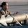 Nellis Weapons Load Crew of the Year Competition A military service member in olive/tan fleece uniform and glasses is working with munitions on what appears to be a flight line or airfield. The individual is handling what appears to be an air-to-air or air-to-ground missile secured on a munitions cart or trolley. The setting appears to be an outdoor military airfield during daylight hours with flat terrain visible in the background.