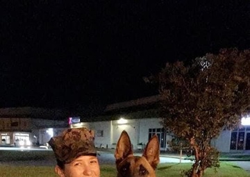 Handler, military working dog reunited in retirement